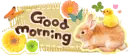 good morning