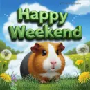 Happy weekend