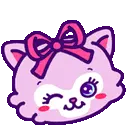 kitty