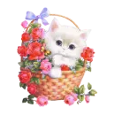 kitty in a basket