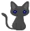 black cat