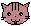 talking cat