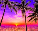 tropical sunset