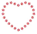paw prints