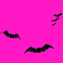 bats