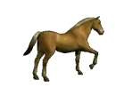 3d horse