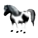blurry horse
