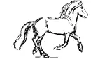 drawn horse
