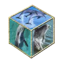 dolphin cube