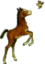filly and bird
