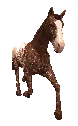 3d horse walking