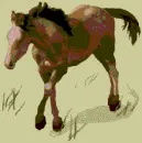 horse