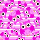 owls