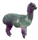 alpaca