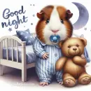 good night