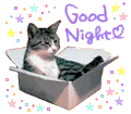 good night