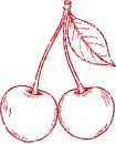 cherries