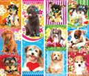 puppies