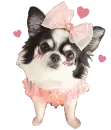 little ballerina
