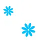 blue flowers