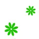 green flowers