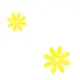 yellow flowers