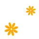 orange flowers