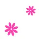 pink flowers