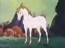 white horse