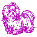 maltese