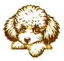 poodle