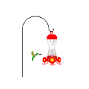 hummingbird