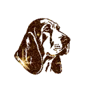 Basset
