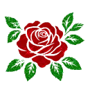 rose