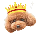 king