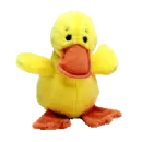 Quackers the duck