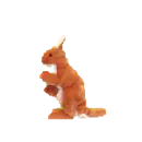 Pogo the kangaroo