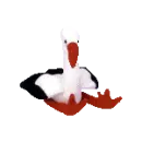 Stilts the bird