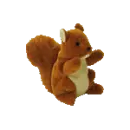 Nuts the squirrel