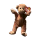 Bongo the monkey