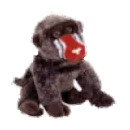 mandrill