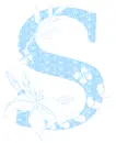 s