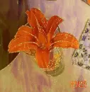 Glittery Stargazer Lilly