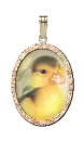 duckling charm