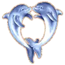 dolphins