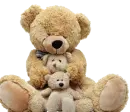 mama bear and her cubs