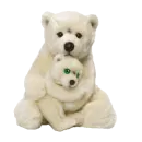 polar bears