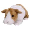 Twitch the hamster