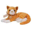 Tabs the cat