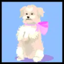 cute dog with a scarf